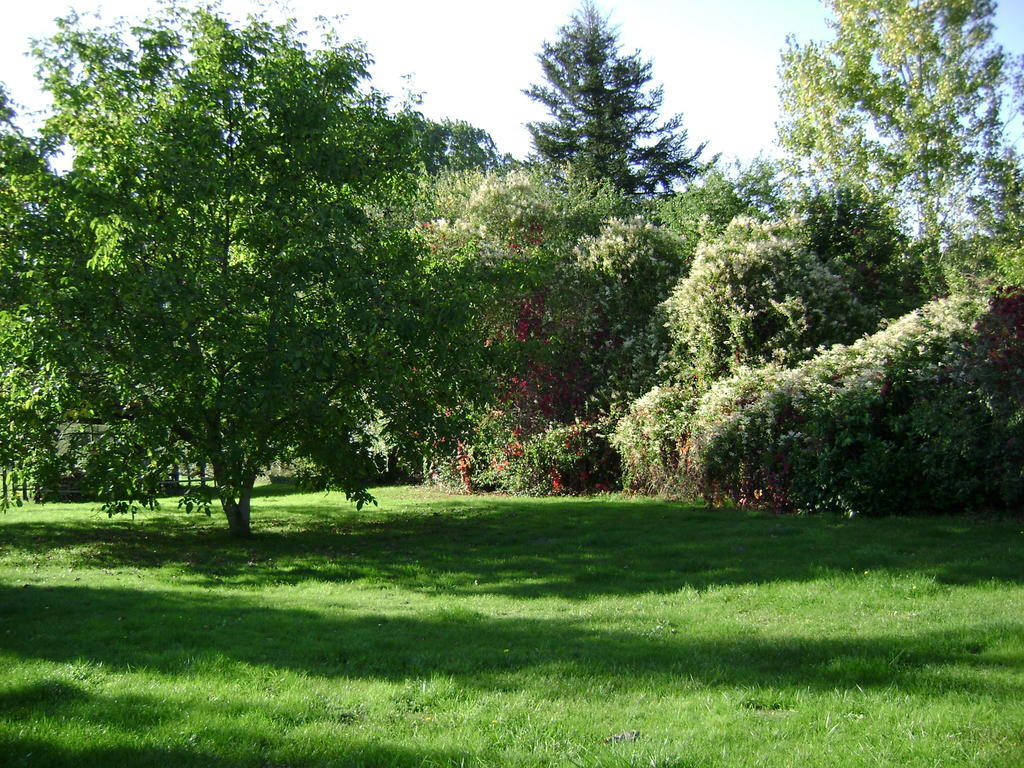 Les Chandelles Bed & Breakfast Villiers-le-Morhier Екстериор снимка